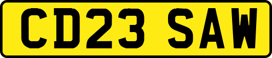 CD23SAW