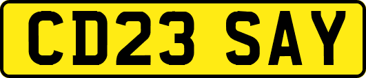 CD23SAY