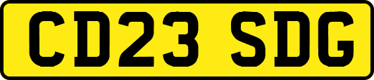 CD23SDG