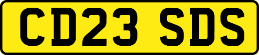 CD23SDS