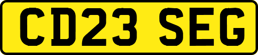 CD23SEG