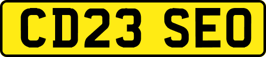 CD23SEO