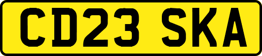 CD23SKA