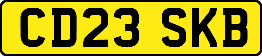 CD23SKB