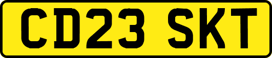 CD23SKT