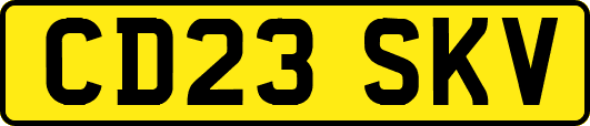 CD23SKV