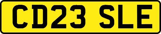 CD23SLE