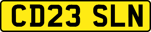 CD23SLN