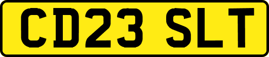 CD23SLT