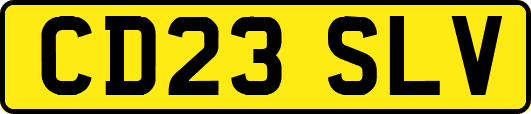CD23SLV