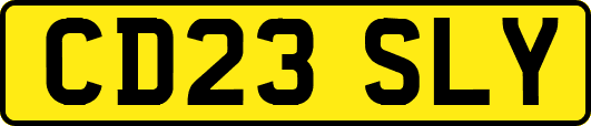 CD23SLY