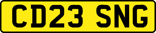 CD23SNG