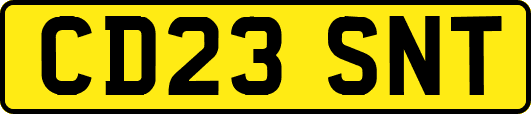 CD23SNT