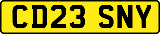 CD23SNY