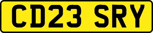 CD23SRY