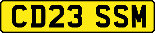 CD23SSM