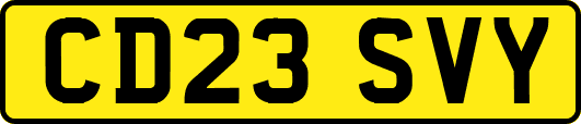 CD23SVY