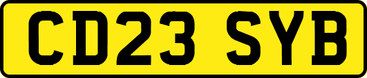 CD23SYB