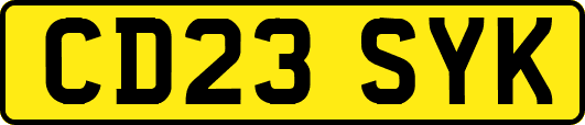 CD23SYK