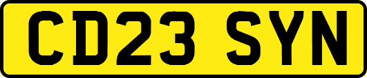 CD23SYN