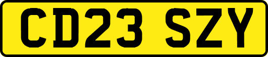 CD23SZY
