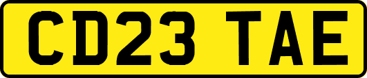 CD23TAE