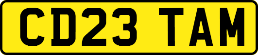 CD23TAM