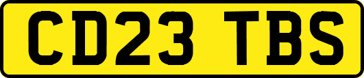 CD23TBS