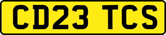 CD23TCS