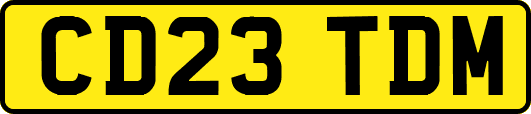 CD23TDM