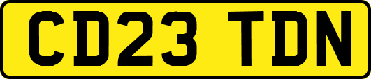 CD23TDN