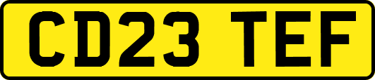 CD23TEF