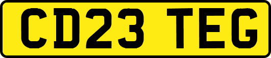 CD23TEG
