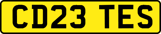 CD23TES
