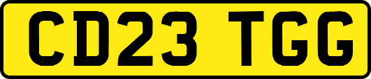 CD23TGG