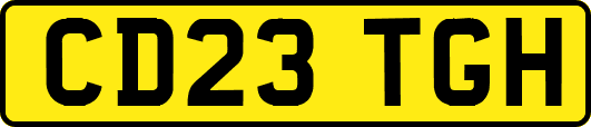CD23TGH