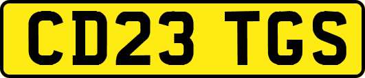 CD23TGS