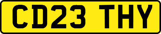 CD23THY
