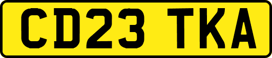 CD23TKA
