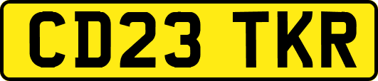 CD23TKR