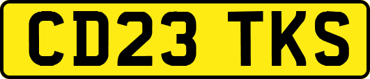 CD23TKS