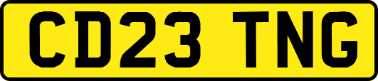 CD23TNG