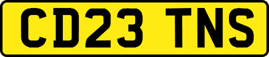 CD23TNS