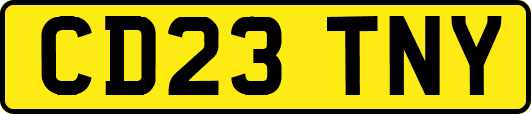 CD23TNY
