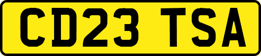 CD23TSA