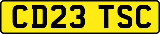 CD23TSC