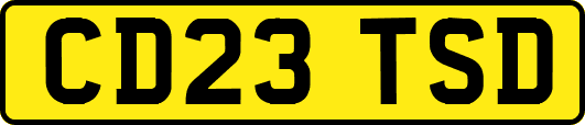 CD23TSD