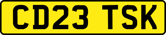 CD23TSK