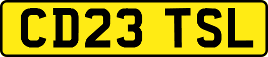 CD23TSL