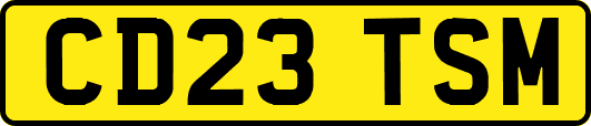 CD23TSM